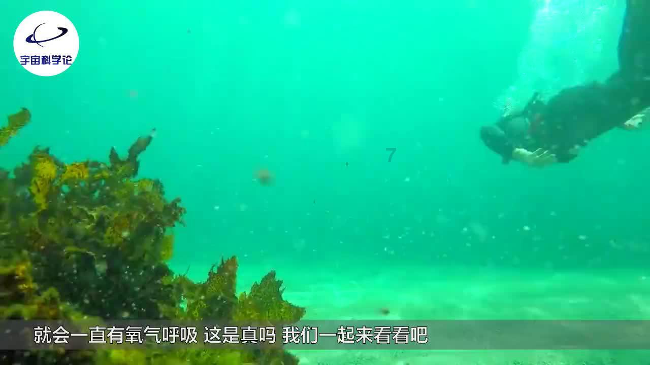 了解04年教师资格证已经正规了吗,打开知识星球的大门